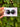 30mm Augen SPECIAL (101)