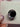 20mm Augen (21)