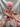 Liana der XXL Glitzer Octopus