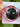 40mm Augen (9)