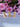 Flauschi Giraffe Maschenmarkierer