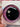 40mm Augen (43)