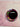25mm Augen (387)