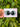 30mm Augen SPECIAL (120)